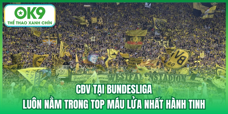 CĐV tại Bundesliga luôn nằm trong top máu lửa nhất hành tinh
